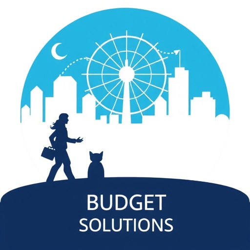 Corporate Budget Solutions Logo